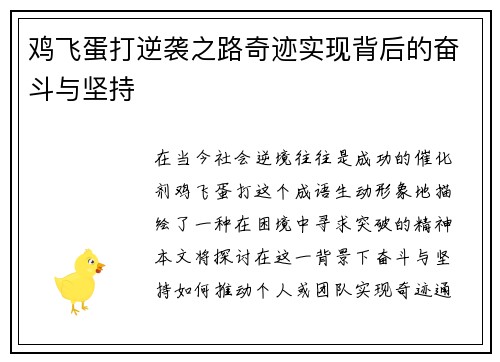 鸡飞蛋打逆袭之路奇迹实现背后的奋斗与坚持
