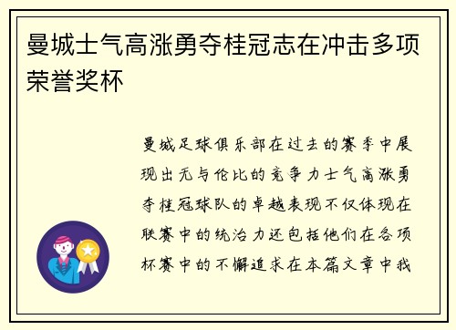曼城士气高涨勇夺桂冠志在冲击多项荣誉奖杯