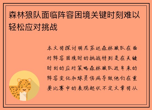 森林狼队面临阵容困境关键时刻难以轻松应对挑战