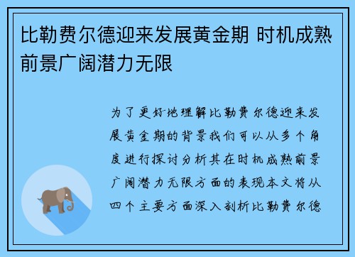 比勒费尔德迎来发展黄金期 时机成熟前景广阔潜力无限