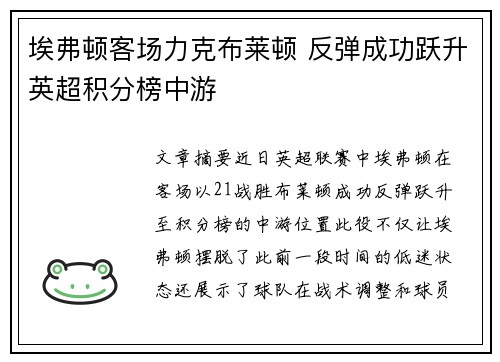 埃弗顿客场力克布莱顿 反弹成功跃升英超积分榜中游
