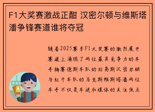 F1大奖赛激战正酣 汉密尔顿与维斯塔潘争锋赛道谁将夺冠