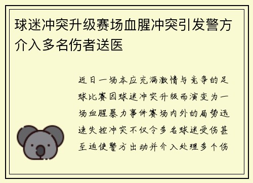 球迷冲突升级赛场血腥冲突引发警方介入多名伤者送医